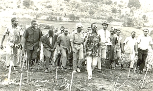 Mwalimu’s past-time activity: inspecting a rural farm